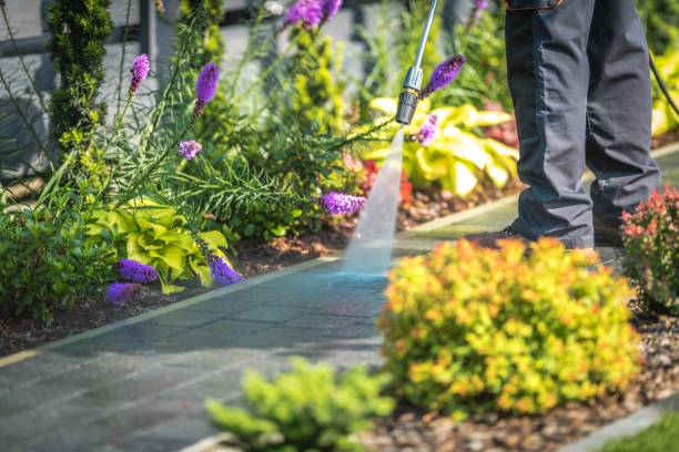 Reliable Hartselle, AL Pressure Washing Solutions